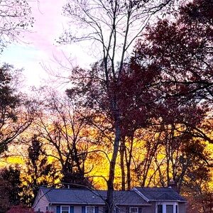 Meet your Posher, Szjm